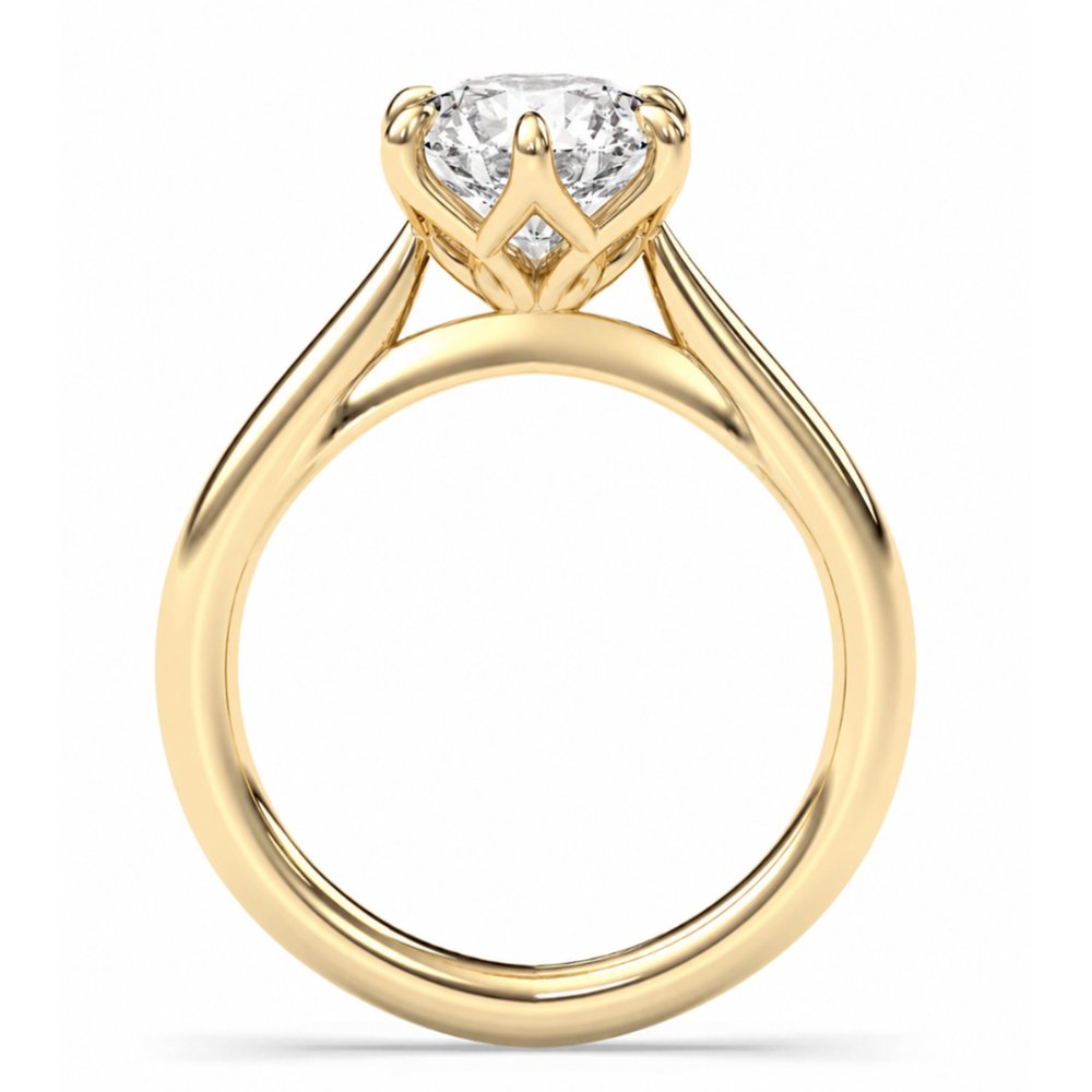 Renata 2.5ct Round Petal Basket Cathedral Ring