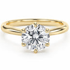 Renata 2.5ct Round Petal Basket Cathedral Ring