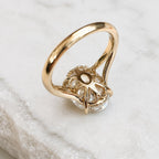 Hailey 4ct Oval Low Set Split Shank Ring