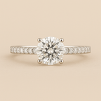 Pave Band Add-On image 1