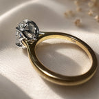 Ren 3-3.5ct Elongated Oval Cathedral Ring