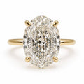 Signature Daisy Oval Cut 5ct Cathedral Ring image 0