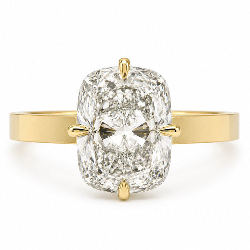 Christina 3ct Elongated Cushion Cut 3mm Wide High set Ring - M and F Series image 0