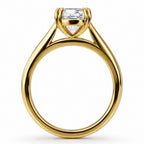 Signature Catherine 3ct Elongated Cushion Cut Cathedral Setting Ring image 6