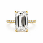 Signature Isabelle Emerald Cut 4ct Pave Cathedral Setting Ring image 6